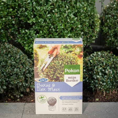 Pokon Buxus & Ilex Mest - 2,5kg - afbeelding 4