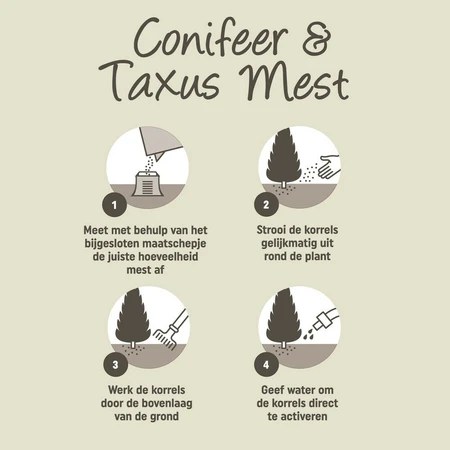 Pokon Conifeer & Taxus Mest - 1kg - afbeelding 3