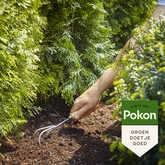 Pokon Conifeer & Taxus Mest - 1kg - afbeelding 4