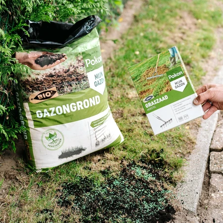 Pokon Graszaad Herstel SOS - 1kg - afbeelding 5