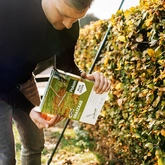 Pokon Graszaad Herstel SOS - 500gr - afbeelding 4