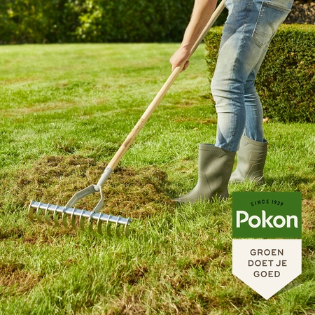 Pokon Graszaad Herstel SOS - 500gr - afbeelding 7