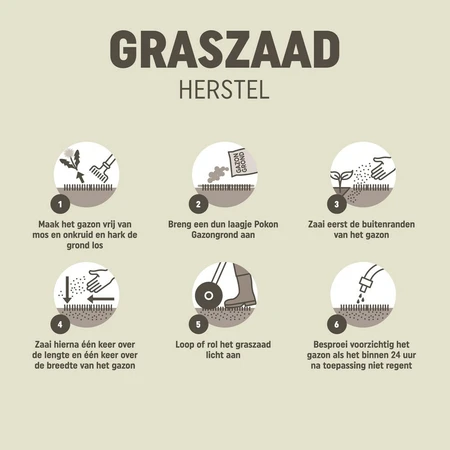 Pokon Graszaad Herstel SOS - 500gr - afbeelding 8