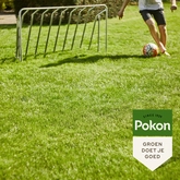 Pokon Graszaad Inzaai - 1kg - afbeelding 6