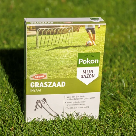 Pokon Graszaad Inzaai - 500gr - afbeelding 5