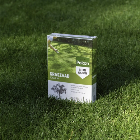 Pokon Graszaad Schaduw - 1kg - afbeelding 5