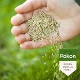 Pokon Graszaad Schaduw - 250gr - afbeelding 3