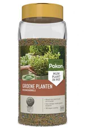 Pokon Groene Planten Voedingskorrels 800gr  - afbeelding 1
