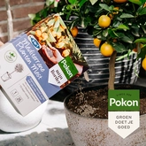 Pokon Mediterrane Planten Mest 1kg - afbeelding 4