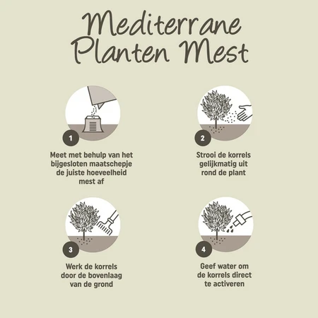 Pokon Mediterrane Planten Mest - 1kg - afbeelding 3