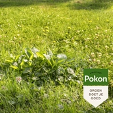 Pokon Onkruid Weg! - 1,6kg voor 80m² - afbeelding 4