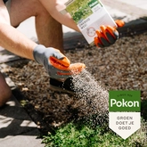 Pokon Onkruid Weg! - 1,6kg voor 80m² - afbeelding 5