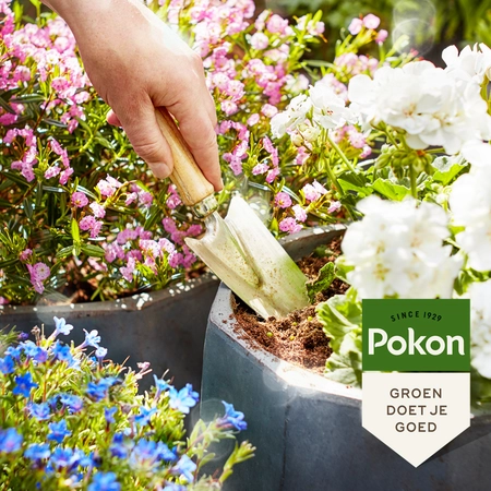 Pokon Potgrond Terras & Balkon Planten - 20L - afbeelding 5