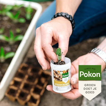 Pokon Stekpoeder - 25gr - afbeelding 3