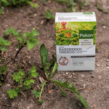 Pokon Tegen Hardnekkig Onkruid Concentraat Weedex 100ml - afbeelding 3