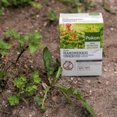 Pokon Tegen Hardnekkig Onkruid Concentraat Weedex 100ml - afbeelding 3