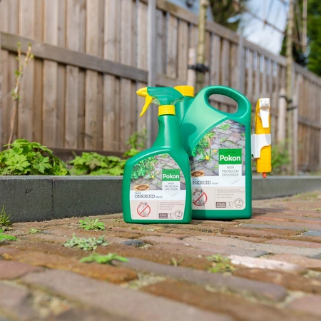 Pokon Tegen Onkruid Spray - 3L - afbeelding 4