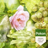 Pokon Tegen Schimmels Fungus Concentraat - 180gr - afbeelding 3