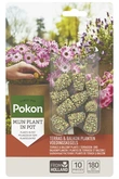 Pokon Terras & Balkon Planten Voedingskegels - 10 stuks 