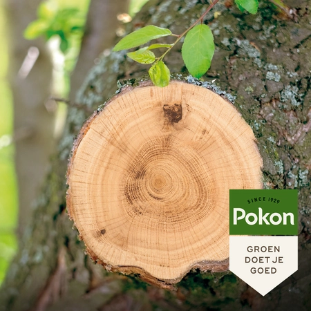Pokon Wondafdekmiddel - 300gr - afbeelding 3