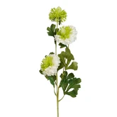 Pom pon wit real touch - l77cm