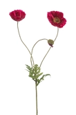 Poppy spray fuchsia 75cm