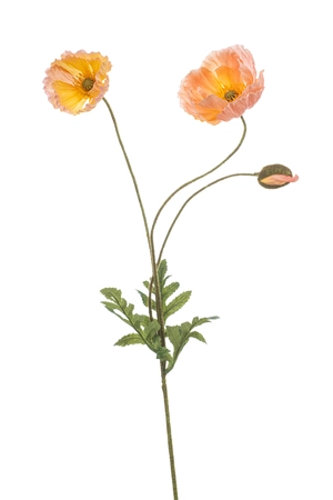 Poppy spray peach 75cm