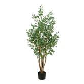 Populier in pot groen - h110xd60cm