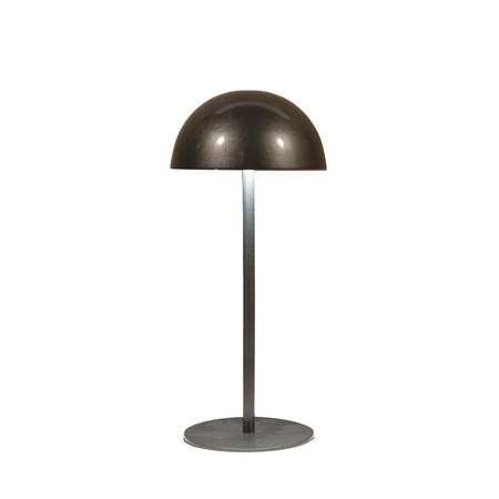 Portable tafellamp 22x9.5cm antrct