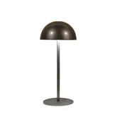 Portable tafellamp 22x9.5cm antrct