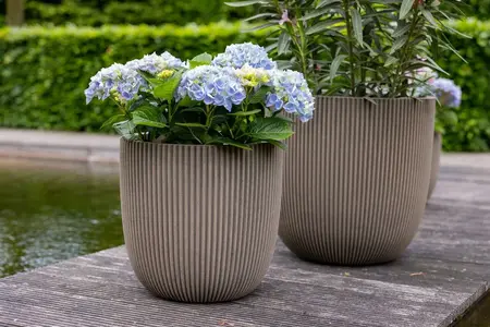 Pot bol Groove NL 54 x 52 warm taupe - afbeelding 2