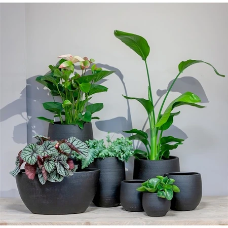 Pot Bora d23h21cm zwart mat - afbeelding 2