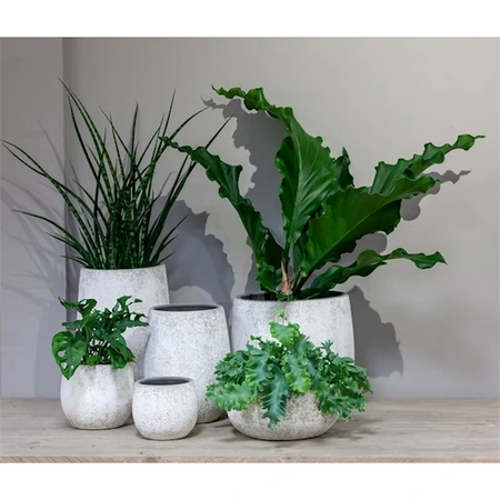 Pot Nathan d29h27cm wit - afbeelding 2