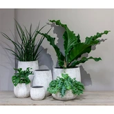 Pot Nathan d29h27cm wit - afbeelding 2