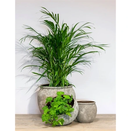 Pot Vales d20/24h21cm grijs - afbeelding 2