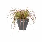 Pot vibia campana d47cm antraciet - afbeelding 3