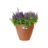 pot vibia campana ro d40 terra - afbeelding 5