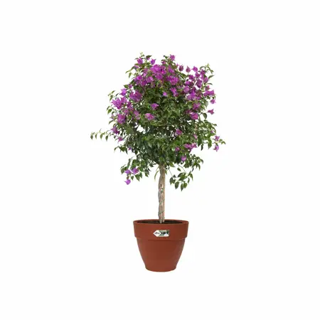 pot vibia campana rond 30cm briq - afbeelding 3