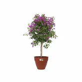 pot vibia campana rond 40cm briq - afbeelding 3