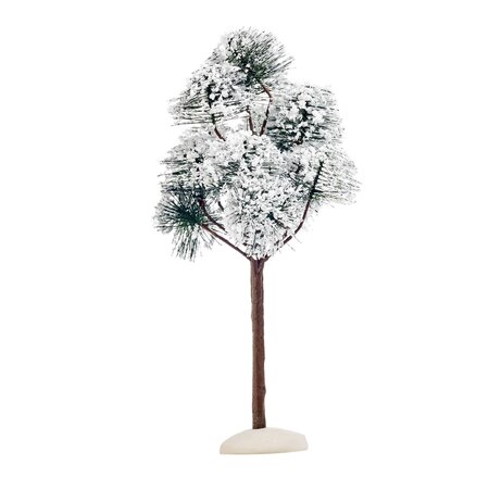 Mountain pine - h23xd10,5cm
