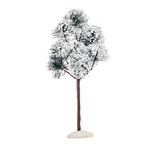 Mountain pine - h23xd10,5cm