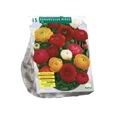 Ranonkel, Mix per 15