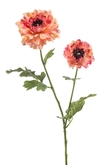 Ranunculus japanese spray peach 65cm