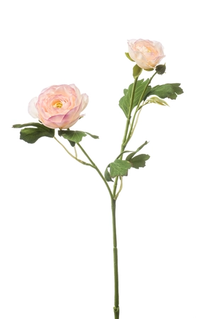 Ranunculus spray lt pink 46cm