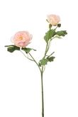 Ranunculus spray lt pink 46cm