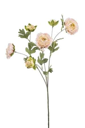 Ranunculus spray lt pink 78cm