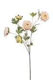 Ranunculus spray lt pink 78cm