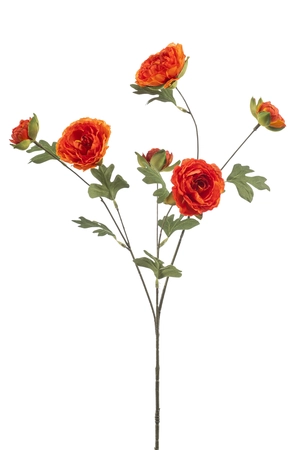 Ranunculus spray orange 78cm