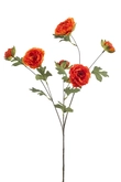 Ranunculus spray orange 78cm