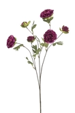 Ranunculus spray purple 78cm